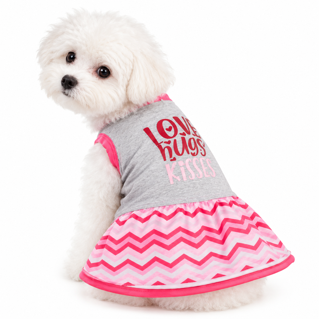 Love & Hugs Pet Dress