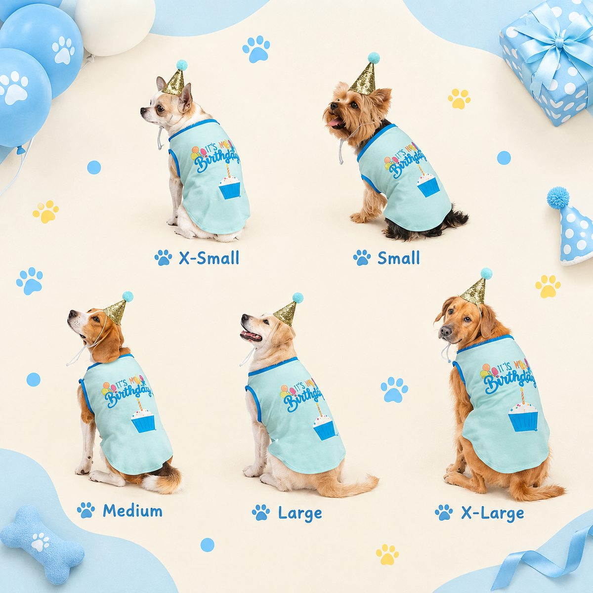 Birthday Party Pet Set