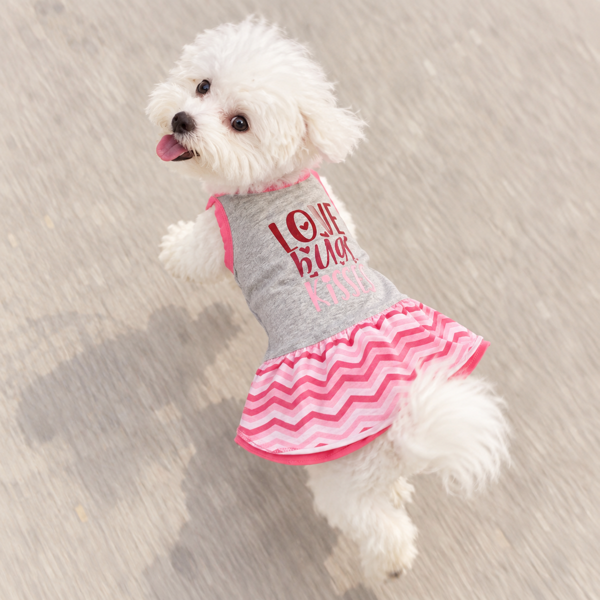 Love & Hugs Pet Dress